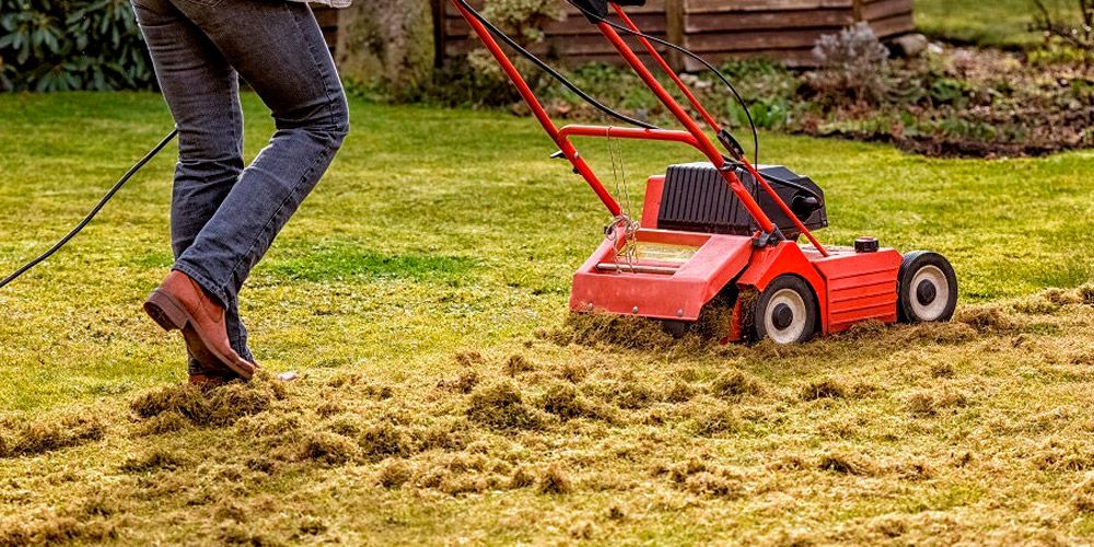 Introduction aux scarificateurs électriques : choisir le bon modèle